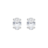 Oval Solitaire Studs