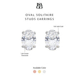 Oval Solitaire Studs