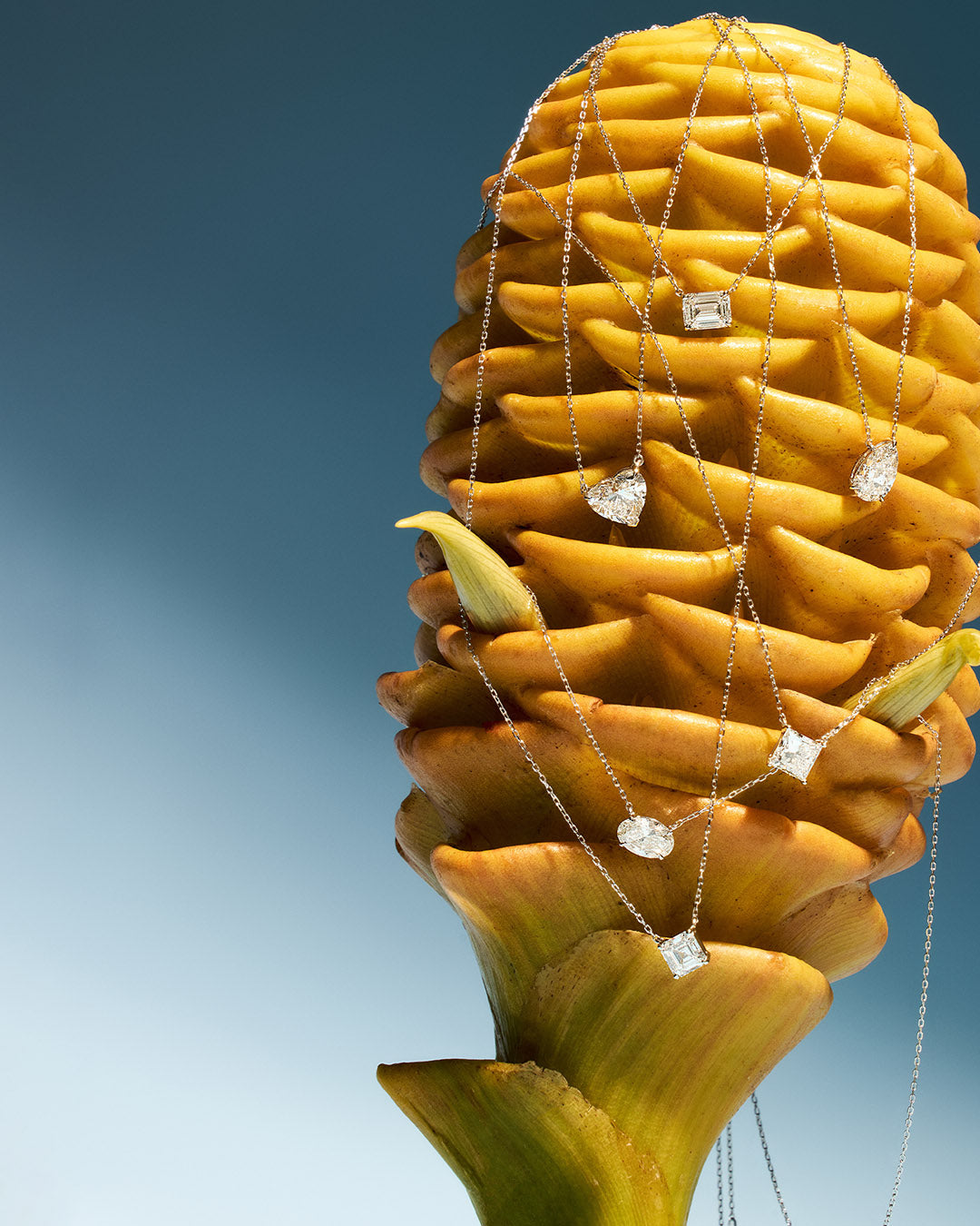 CELEBRATE THE GOLDEN HOUR